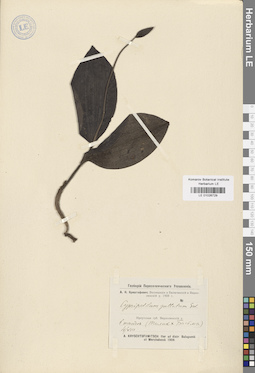 LE 01026729