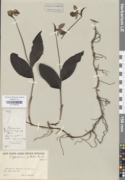 LE 01026748