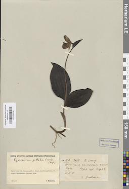LE 01026749