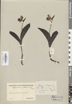 LE 01026750