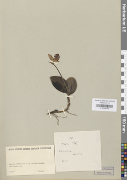 LE 01026759
