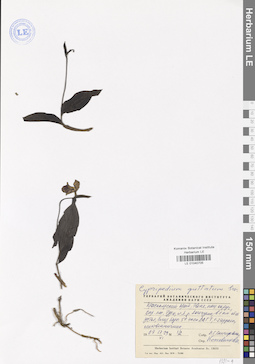 LE 01040705