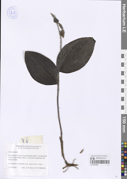 LE 01207284