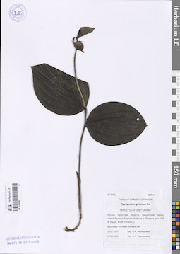 LE 01209267