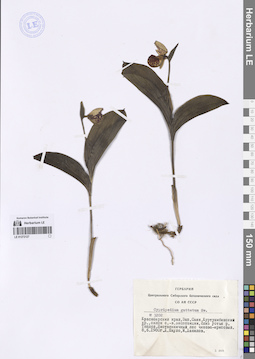 LE 01272127