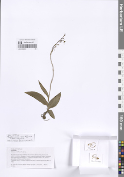 LE 01253839