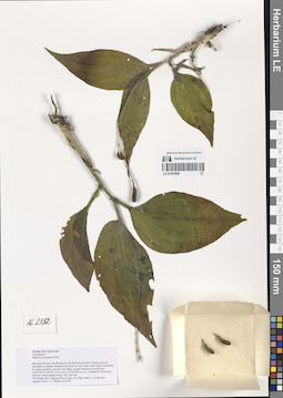 LE 01253889