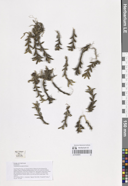 LE 01253919
