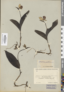 LE 01026635