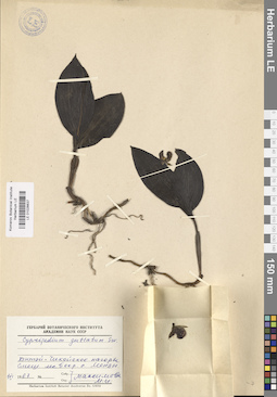 LE 01026637
