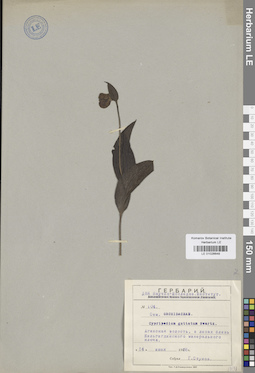 LE 01026648
