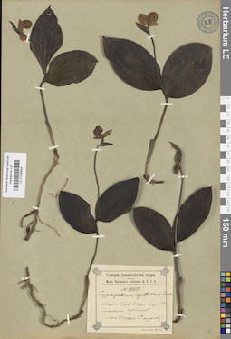 LE 01026649