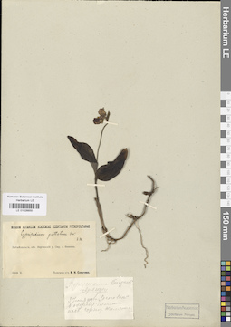 LE 01026655