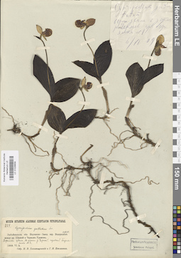 LE 01026659