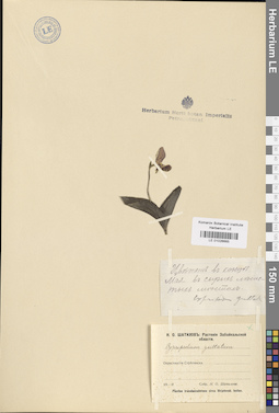LE 01026665
