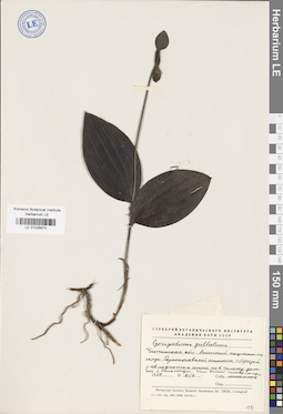 LE 01026674
