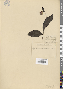 LE 01026678