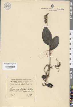 LE 01026679