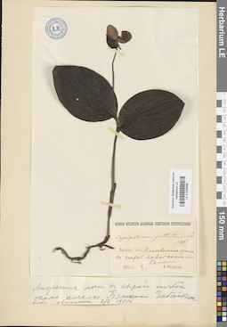 LE 01026686