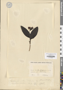 LE 01026687