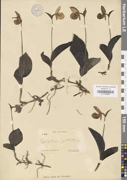 LE 01026692