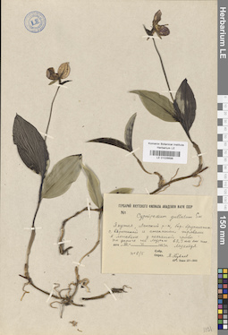 LE 01026698