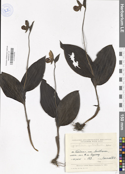 LE 01026760