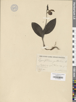 LE 01026762