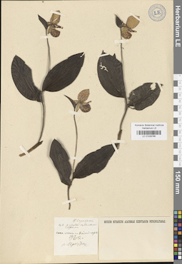 LE 01026766