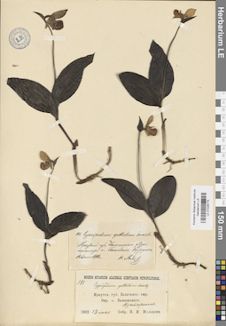 LE 01026775