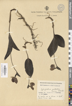 LE 01026786