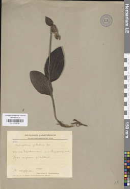 LE 01026790