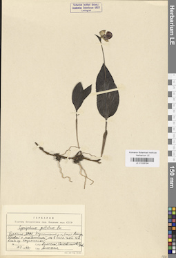 LE 01026794