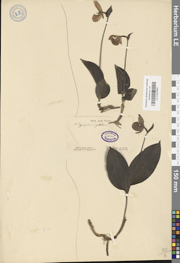 LE 01027602