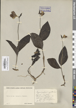 LE 01027610