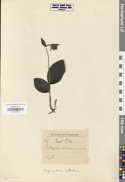 LE 01027612