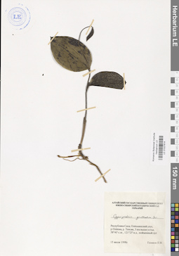 LE 01027614