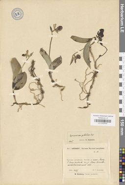 LE 01027619