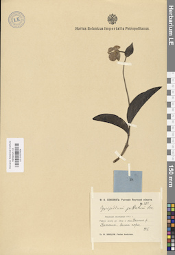 LE 01027624