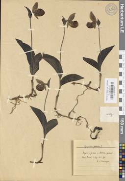 LE 01027627