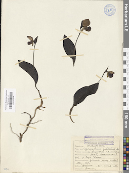 LE 01027628