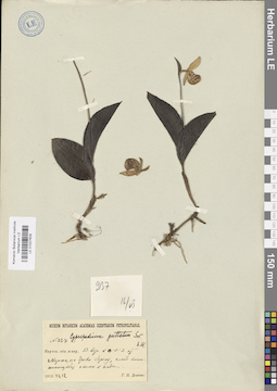 LE 01027629