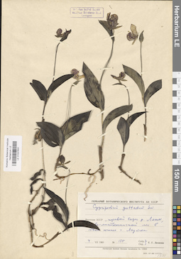 LE 01027631