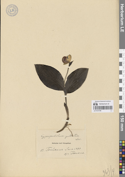 LE 01272199