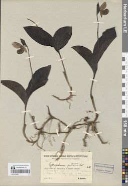 LE 01272201