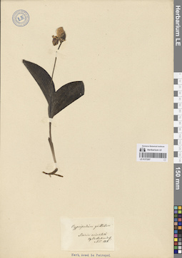 LE 01272207