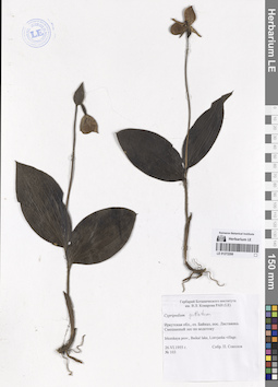 LE 01272208