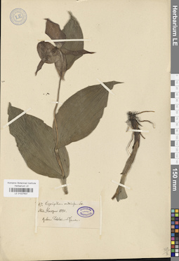 LE 01027637