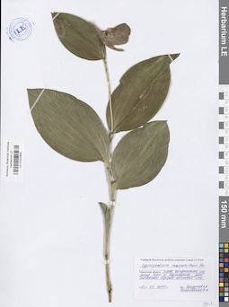 LE 01027645