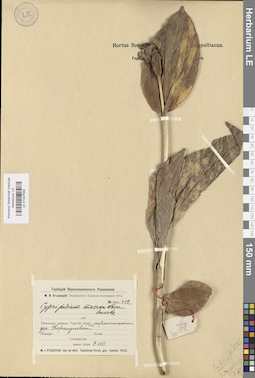 LE 01027649